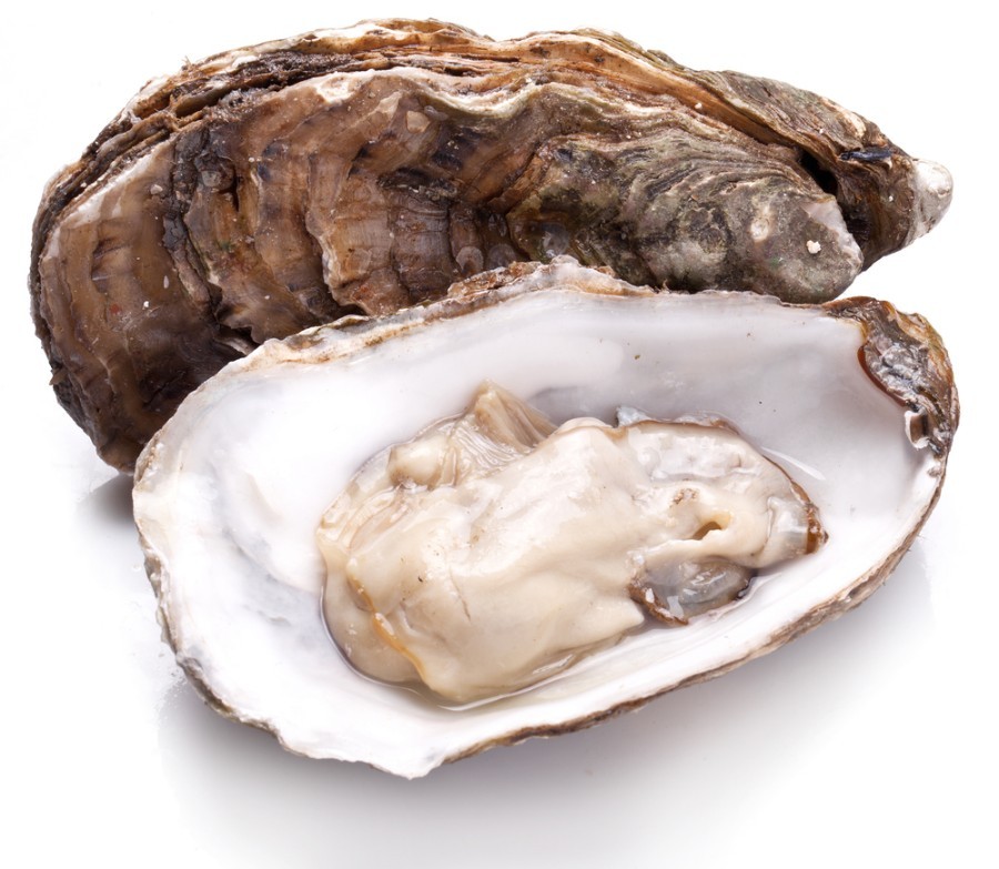 OSTRA /KG
