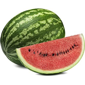 SANDIA KG