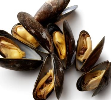 MEJILLONES FRESCOS POR KG
