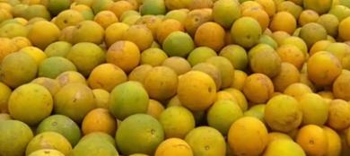 NARANJA KG