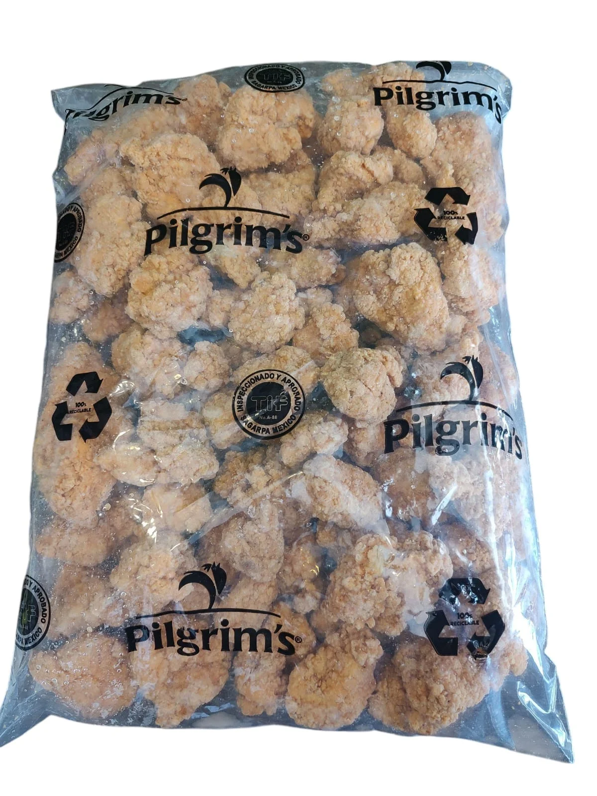 BONELES PILGRIMS